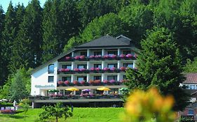 Pfeifles Höhenhotel